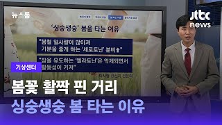 [기상센터] 봄꽃 활짝 핀 거리…싱숭생숭 봄 타는 이유 / JTBC 뉴스룸