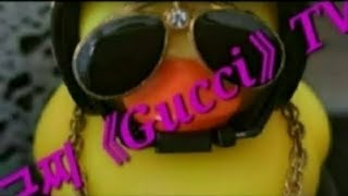 구찌《Gucci》TV 라이브 방송 21