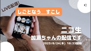 ニコ生【(豚王)加瀬ちゃん】の配信です。生しごとなう　すこし2023/8/24(木) 18:33開始