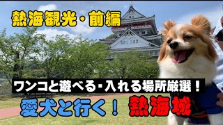 愛犬と一緒に楽しむ旅行！熱海の観光スポット 前編【パピヨン犬ビビりなノエルくん】