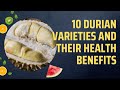 10 Durian Varieties and Their Health Benefits