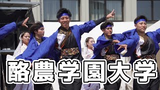 #酪農学園大学 #玄天祭　#学校祭　#YOSAKOI  #よさこい　　#YOSAKOIソーラン　#yosakoi #札幌大学　#ダンス　#dance #YOSAKOIソーラン祭り　#ヨサコイ　#大学生