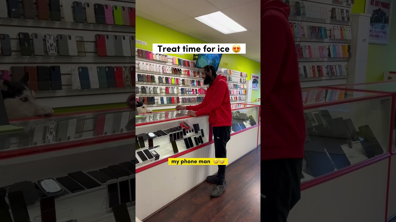 He wanted to Transfer his data from this Terribly cracked iPhone 😱 #shorts #apple #iphone #ios #fyp