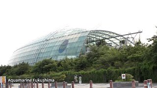 Aquamarine Fukushima, an environmental aquarium 2_Channel JAPAN ＃23/2023