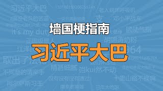 习近平大巴是什么梗？【墙国梗指南】