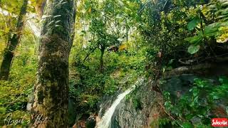 Aruvikkuzhi Waterfalls || Link in Description box 👇 for full video