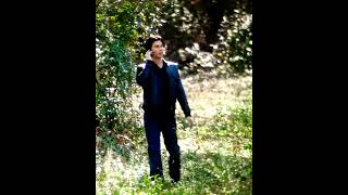 Alaric and Damon ... brotherhood...   #shorts #trending #vampire #youtubeshorts #reels #damon