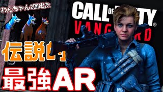 もう迷わない‼初めての強武器【CoD:Vanguard】#1