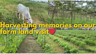 Homegrown happiness! Our farm land adventure❤️ @Madhurahweblog