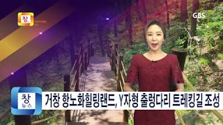 [6월4주] 거창 항노화힐링랜드, Y자형 출렁다리 트레킹길 조성