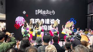 20241102渋谷阿波踊り_高円寺合同