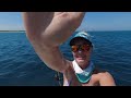 first reef fishing trip off gladstone