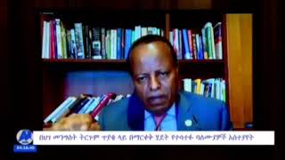 የሕገ መንግሥት ባለሙያዎች  ስለ አተረጓጎሙ የሰጡት አስተያየት-2 Constitution drafting participants \u0026 scholars discussion