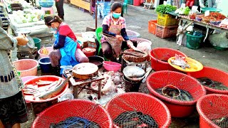 🇹🇭Ubon Ratchathani local food market is a clean market that is worth a walk.