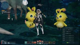 『PSO2：NGS』第2回クローズドβテスト　ラッピー