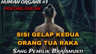 INILAH KISAH ASAL USUL KEDUA ORANGTUA RAKA # 3