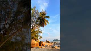 Tropical Coconut Tree And Huge Rocks