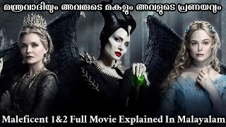 Maleficent 1 \u0026 2 Full Movie Explained In Malayalam | Fantasy Movie Explanation In Malayalam