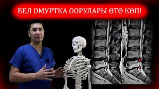 Бел, омуртка оорулары жөнүндө Ортопед-травматолог Нурбек Рыскулов айтып берди