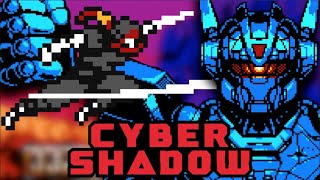 Cyber Shadow's Untapped Excellence