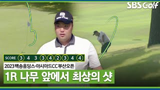 [2023 KPGA] 9홀 동안 버디만 6개! 나무 앞에서 기가 막히게 붙이는 김찬우_부산오픈 1R