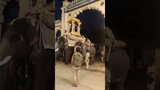 Dasara elephants taking practice for Jambu Savari #mysore #dasara2022 #mysurudasara #elephants