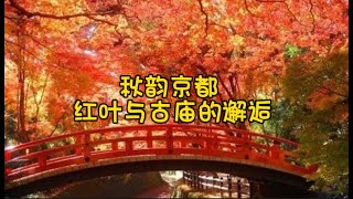 秋韵京都：红叶与古庙的邂逅#shorts