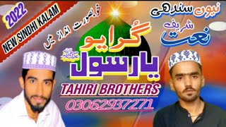 Gorayo Ya Rasol Allah Madine Ya Habibullah New Sindhi Naat Sharif 2022/ Tahiri Brothers #sindhinaat