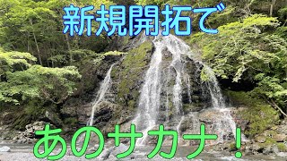 北海道フライフィッシング【新規開拓であのサカナ！？】2022年7月27日