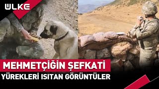 Mehmetçiğin Şefkati... Sosyal Medya Hakkari'de Çekilen Bu Videoyu Konuşuyor