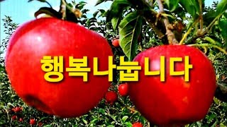 #아카시아 꽃길공연 25일째 🌺칠곡 신동재 #허리수품바공연단🎼