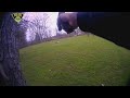 BODYCAM | Solon police officer fires shots at armed suspect following chase of stolen vehicle