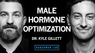 Dr. Kyle Gillett: Tools for Hormone Optimization in Males | Huberman Lab Podcast 102