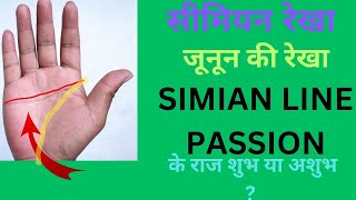 सीमियन रेखा | SIMIAN LINE IN PALMISTRY | The Science Behind the Simian Line