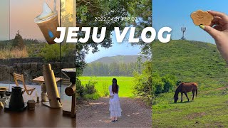 Vlog | 제주도 여행 브이로그 ep.2 🏝️(커피냅로스터스,히포파운드,집의기록상점,금오름,문도지오름,인스밀,위이,동백국수,송당무끈모루,블루보틀,갯무꽃명소,몽그레,무상찻집)