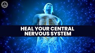 Heal Your Central Nervous System | Repair Nerve Tissues In The Brain \u0026 Spinal Cord | Binaural Beats