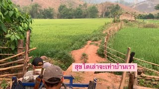 สุขใดเล่าจะเท่าบ้านเรา ธรรมชาติ ท้องทุ่งนา