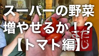 ハダオジ番外編【トマトの再生栽培】#03 植え替えよう！！