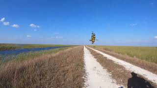 Everglades trail running