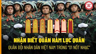 Nhận biết quân hàm Lục quân Quân đội nhân dân Việt Nam trong “01 nốt nhạc” | THƯ VIỆN PHÁP LUẬT