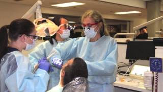 Dental Implant Training - Extraction Classes - Dentistry Course