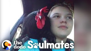 A Day in the Life of a Rooster and His Best Friend | The Dodo Soulmates