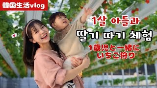 子連れに優しくて最高！韓国いちご狩りが超楽しかった🥰|韓国在住主婦の日常|vlog