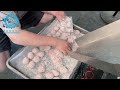 SV-208 Encrusting Machine making Glutinous Rice Meatball