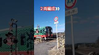 2024年11月23日 真岡鐵道 モオカ14型 #真岡鐵道 #真岡鉄道 #train #Japanese train