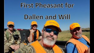 South Dakota Pheasant Hunting - Dallen and Will First Pheasant