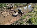 Beaver dam removal || Experimental 2 dams.