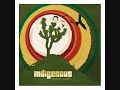 indigenous things we do live bluesrock