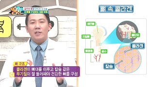 피부의 노화, 뼈 건강의 적신호와 연관이 있다?! | 나는 몸신이다 307 회