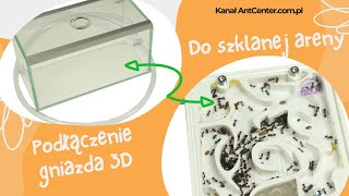 AntCenter-  Gniazda 3D dla mrówek ( 3D nests for ants). Podłączenie gniazda z areną.